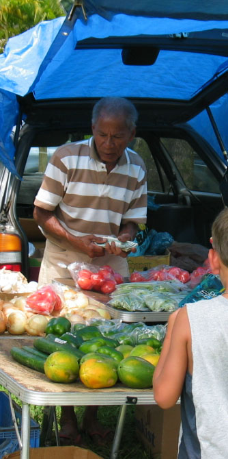 Fruit and Veggies