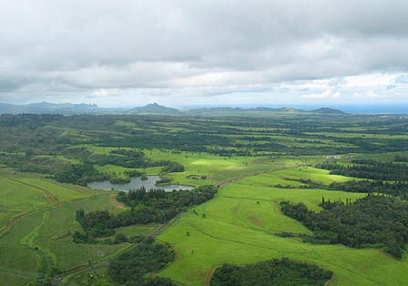 Haiku Airstrip