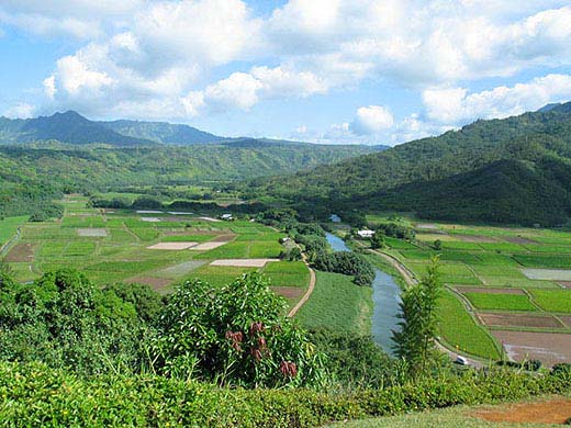 The Hanalei River