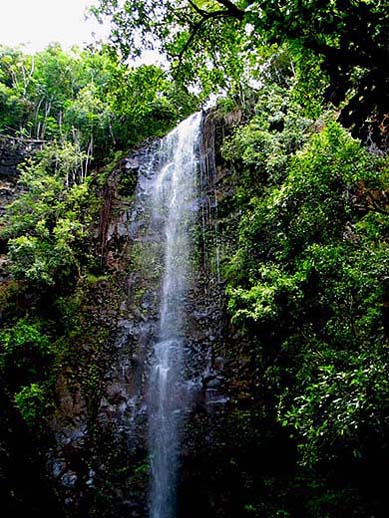 Kaholalele Falls