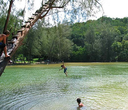 Kalihiwai Rope Swing