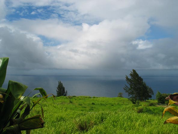 East View, Hamaukua Coast