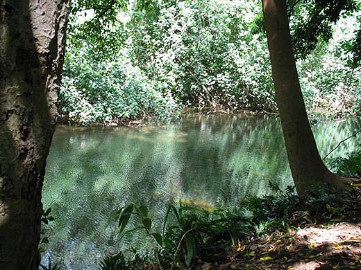 North Fork of the Wailua River