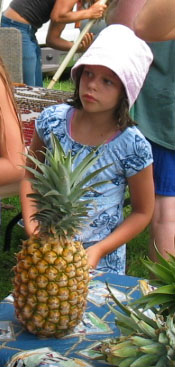 Pineapple Princess
