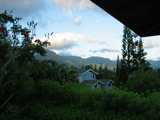 Looking at Ko'kee