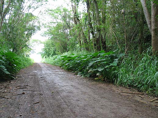 Haul Cave Tunnel Road