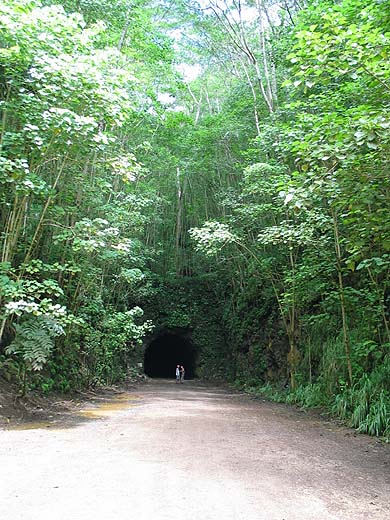 hidden tunnel entrance