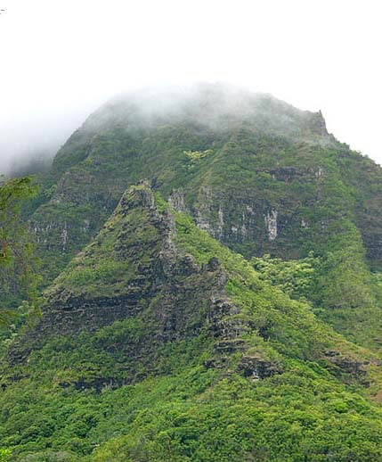 Looking up at Kulanaililia