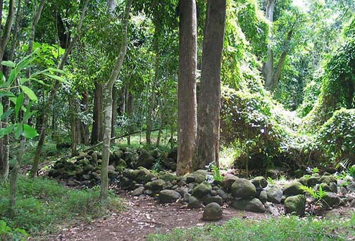 Heiau