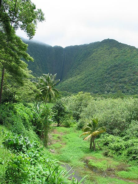 Waipio Valley